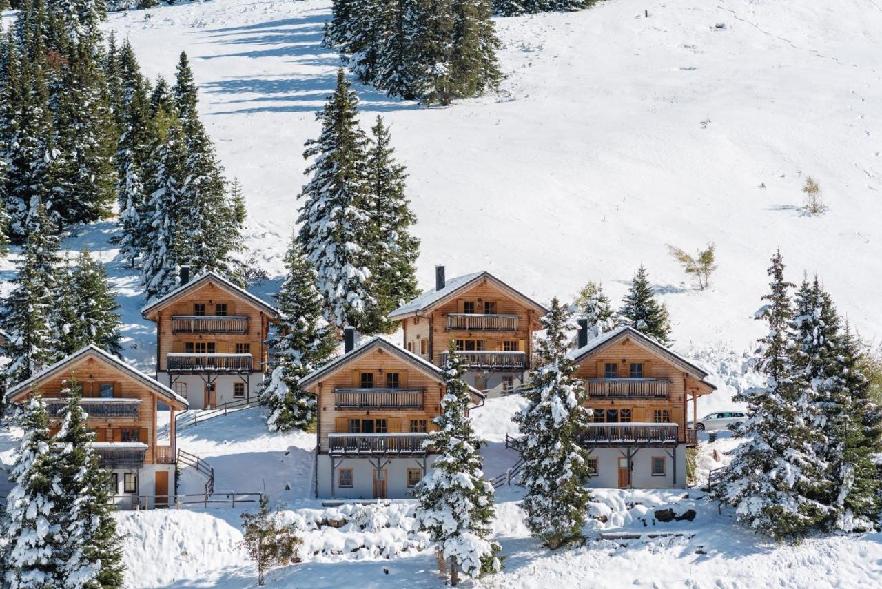 Frantschach Feriendorf Koralpe Alpenrose מראה חיצוני תמונה