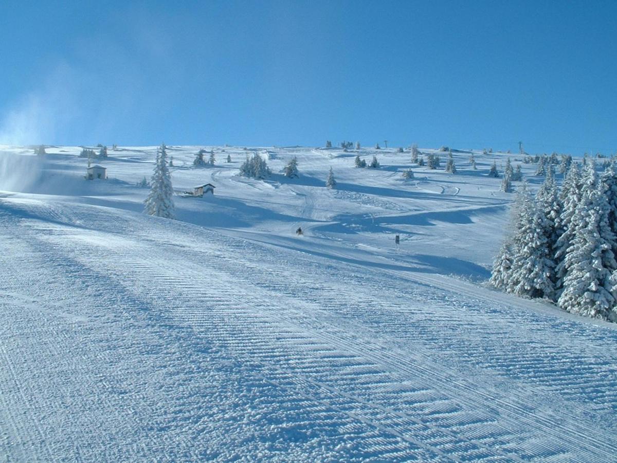 Frantschach Feriendorf Koralpe Alpenrose מראה חיצוני תמונה